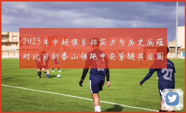 2025年中超俱乐部实力与历史底蕴对比分析泰山领跑申花紧随其后国安位居第三